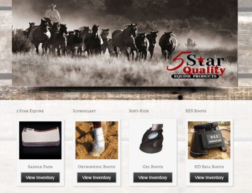 eCommerce – Wild and Western
